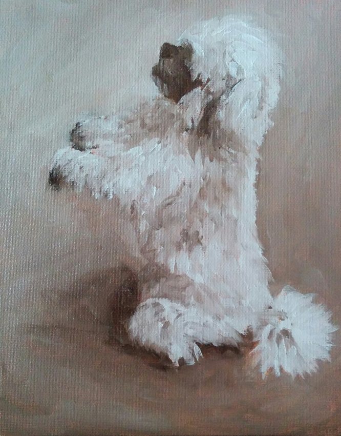Fur study