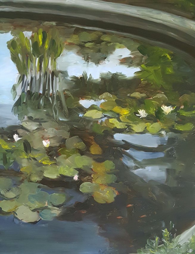 Lily pond