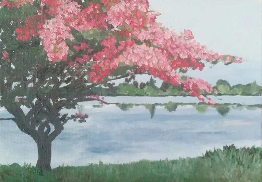 Tree at green lake (Seattle)