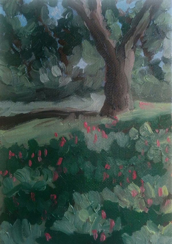 Tree in the woods