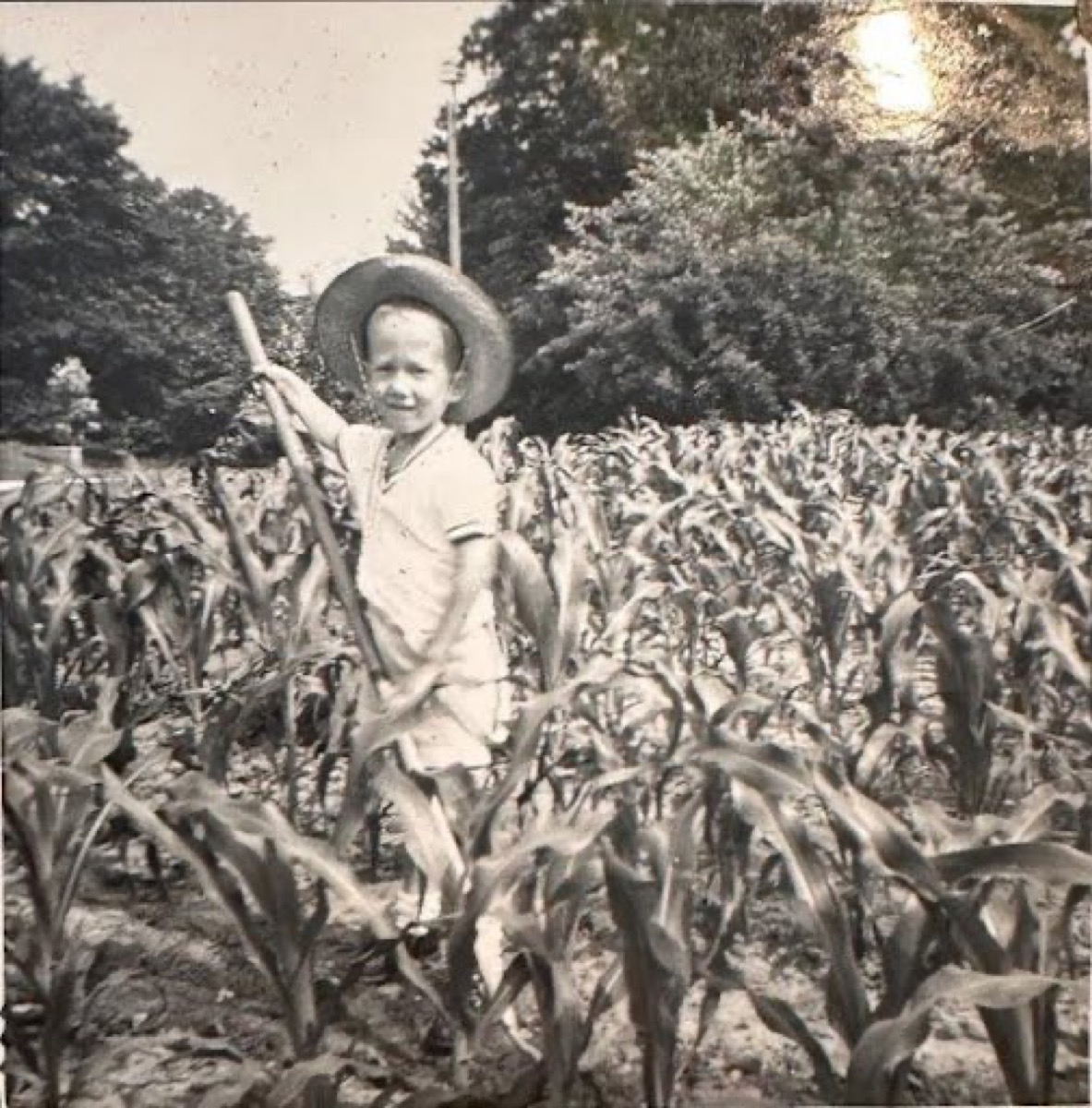 Black-and-white photo of a small boy in a straw hat standing in a corn field with a hoe.